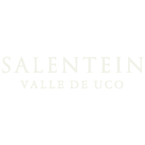 Cliente 15