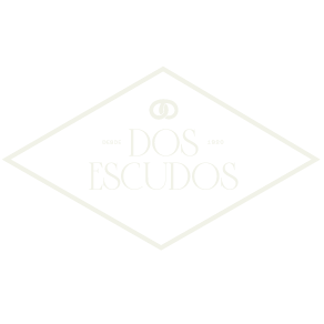 Cliente 19